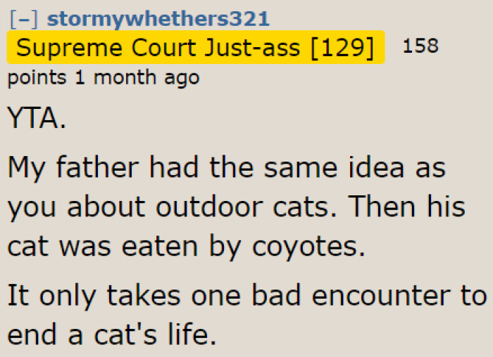 People in the AITA community have been telling her off. She obviously knows nothing about why cats are generally kept indoors.