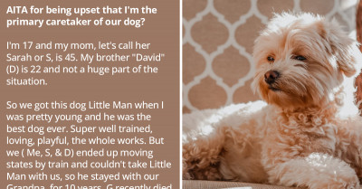 Teen Forced To Take Care Of Her Family's Elderly Dog Questions Why She's The Bad Guy For Complaining About It