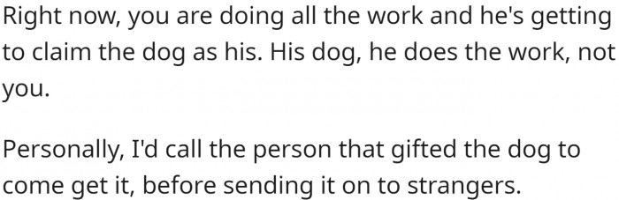 She should contact the person who gave them the dog first