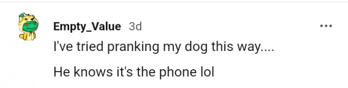 20. This Redditor's dog is pretty smart