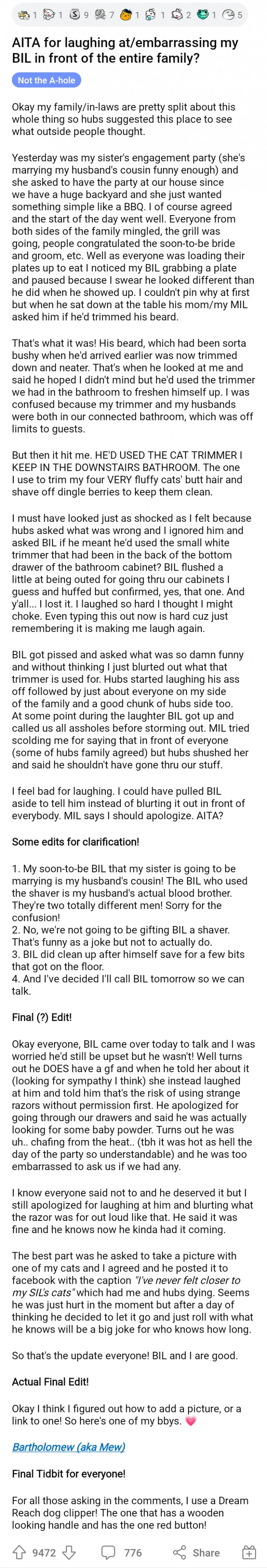 OP shared why she laughed at her BIL during their family gathering.
