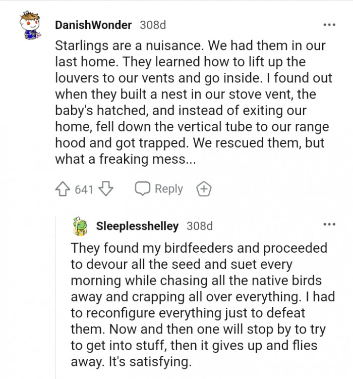 This Redditor has a short story to share