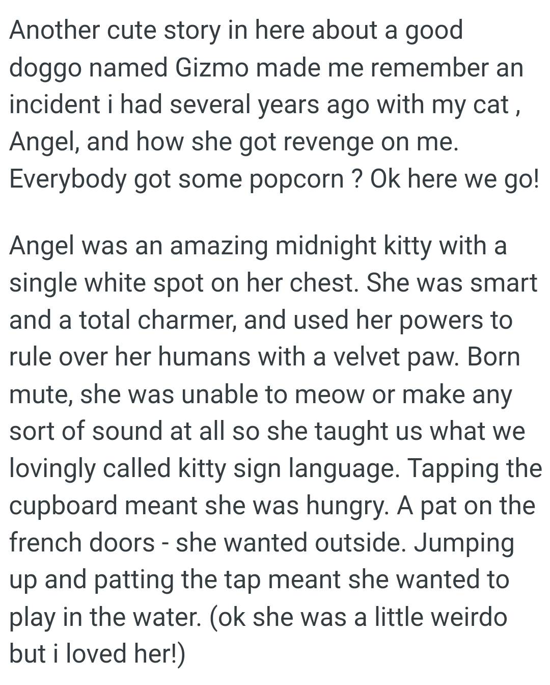 OP's cat, Angel, was an amazing midnight kitty with a single white spot on her chest