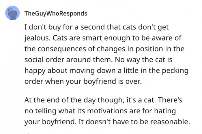 Cats are smart enough