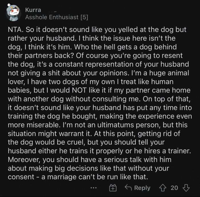 The issue here is not the dog but the husband.