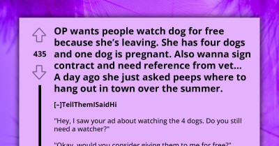 Choosing Beggar With Four Dogs Looking For Free Pet Sitter Because Of Financial Constraints, Lists Down Unreasonable Demands To Prospective Foster