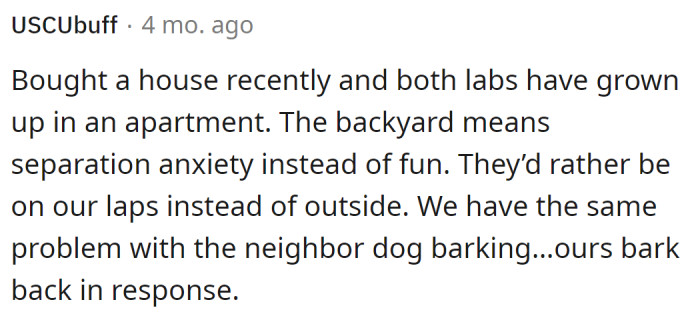 For some dogs, the yard means separation anxiety and no fun.