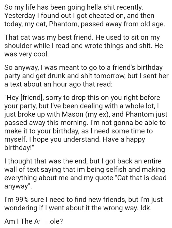 OP's deceased cat used to sit on her shoulder while she read and wrote things