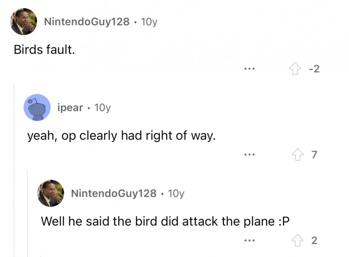 The bird did attack the plane.
