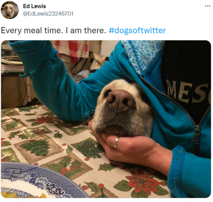 17. The Chief Nutritionist is Always There.