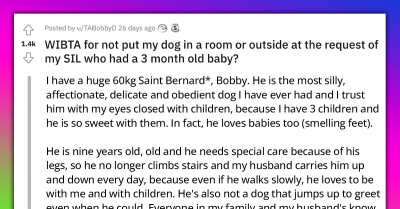 Generous Host Says No When Her Sister-In-Law Asked If She Can Keep Her Elderly Dog Away In A Room For A Week To Assure Her Infant's Safety