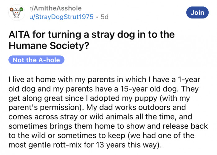 Nervous Heeler-mix puppy at the Humane Society after being brought home