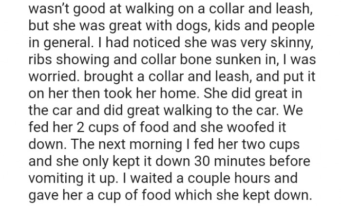 The OP noticed the dog has skinny ribs among other things