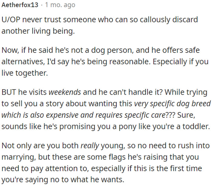 If OP's fiancé struggles to handle the dog during weekend visits, yet insists on an expensive, high-maintenance breed, it could be a red flag.