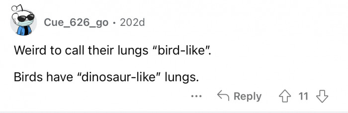 Birds are living dinosaurs, just tinier.