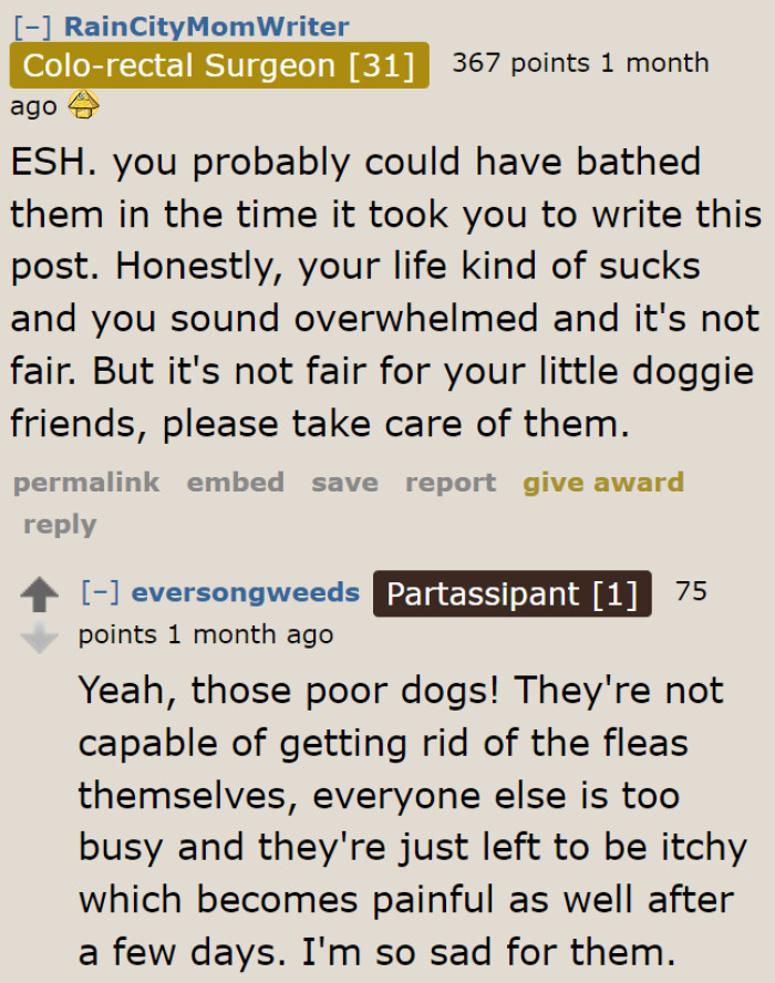 Redditors criticized every family member, including the OP. Instead of making and reading this post, she should've just bathed the dogs.