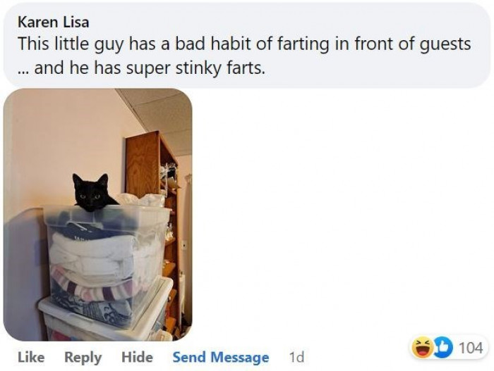 1. Take cover, killer fart incoming!