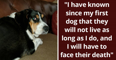 Online Community Discusses Their Biggest Fears As Dog Parents
