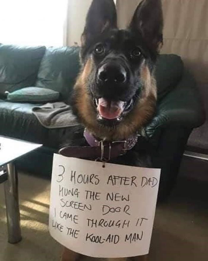 10. It was tempting...