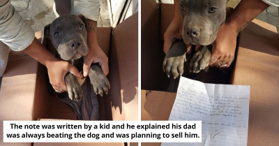 Boy Makes A Heartbreaking Decision To Leave His Puppy At A Shelter To Save It From His Dad's Abuse