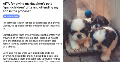 Son Thinks His Mom Prefers His Sister's Pets Over His Kids, Gets Upset When She Bought A Gift For The Cats And Calls Her A Terrible Grandma