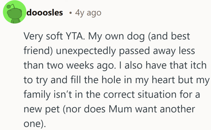 The heart says get another dog. Real life, and Mum, say not yet.