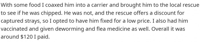 OP lured the cat with some food, trapped it, and took it to the vet. The vet spayed it and gave it a vaccine and deworming medicine. All in all, OP paid $120 out of their pocket.