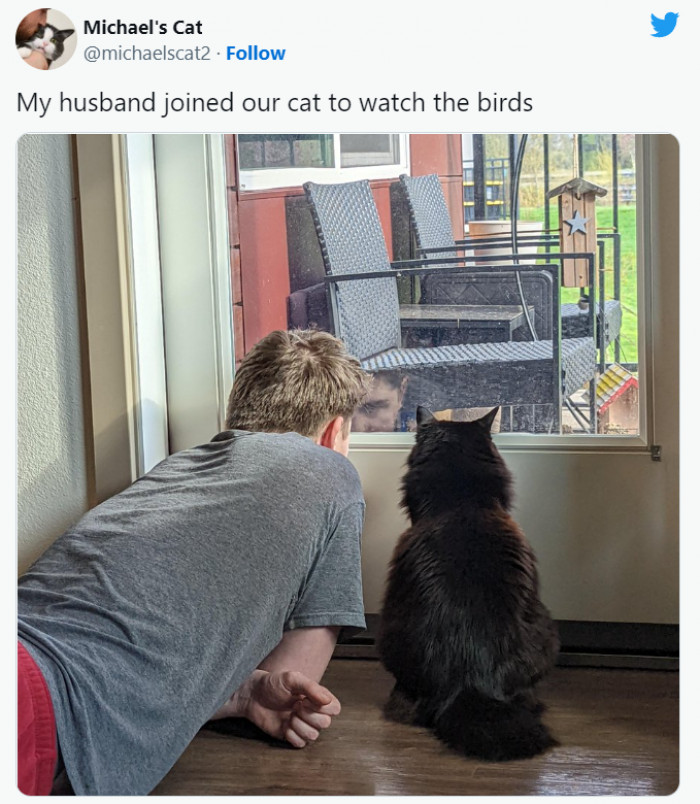 18. Cats have the ability to pull humans into their hobbies.