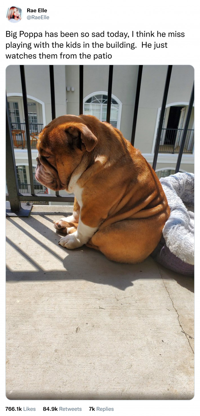 13. Big Poppa missed playing outside with the kids.