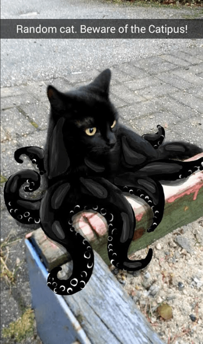 1. Imagine meeting a creature like this on the street.