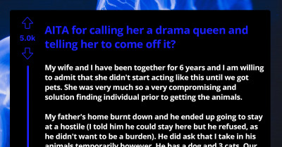 Husband Can’t Understand His Wife’s Nervous Reactions To Three Cats And One Dog She Is Unwillingly Taking Care Of For The Past Four Months