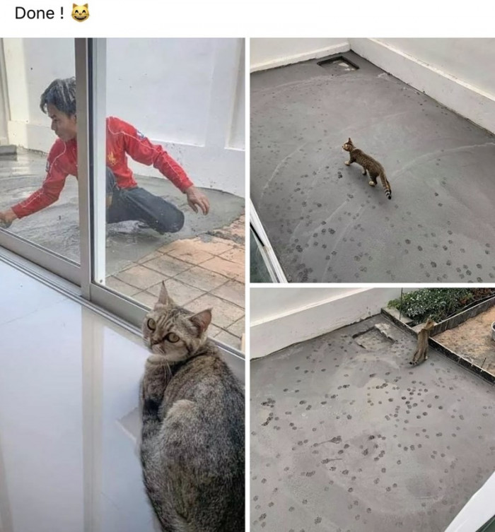 19. Just Waiting for the Right Moment