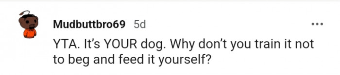1. It Is Your Dog