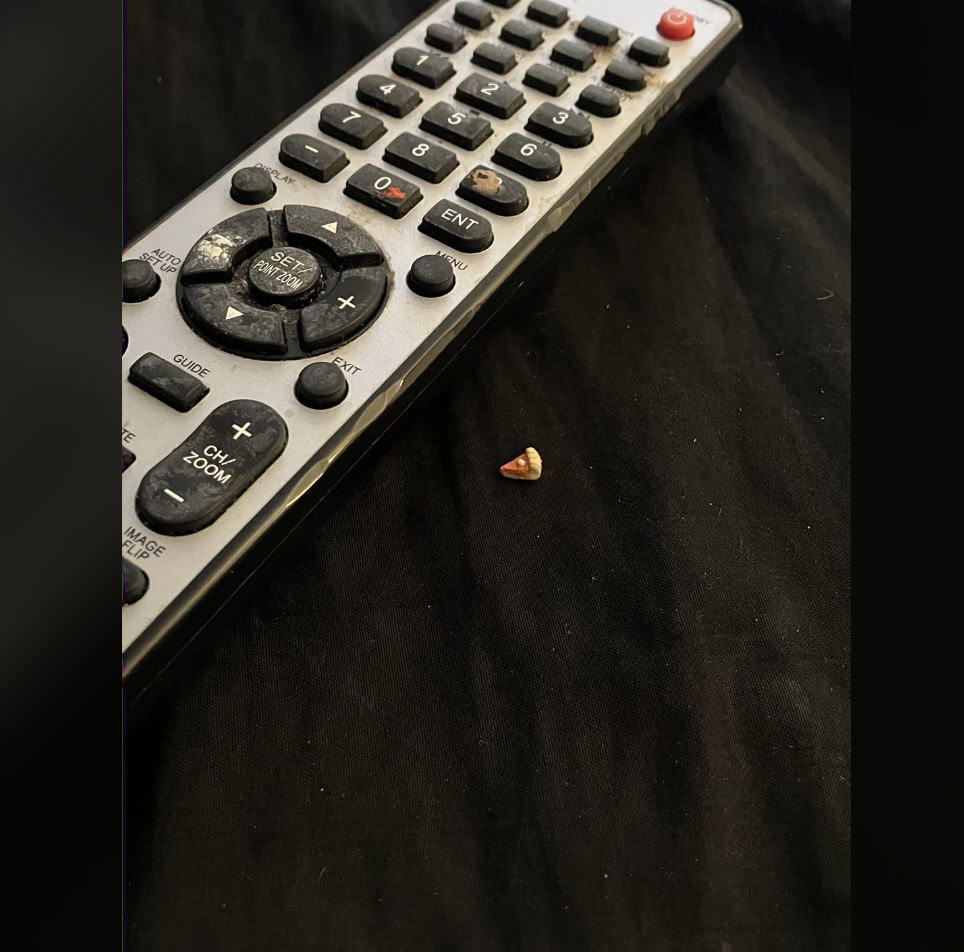 10. “What is this, a pumpkin pie for ants?”