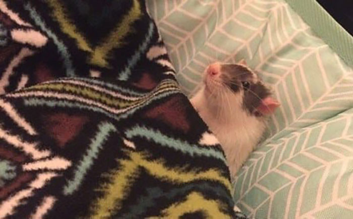 35. Such a long day...