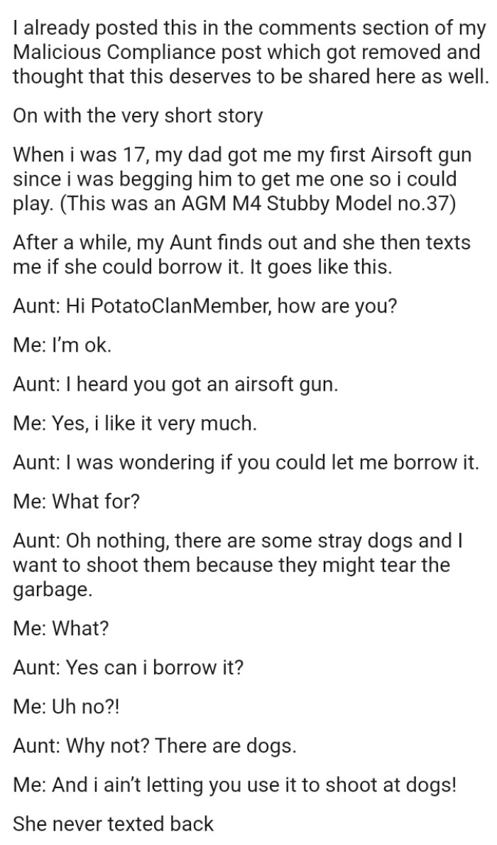OP's aunt finds out about the gun and then texts her to see if she could borrow it