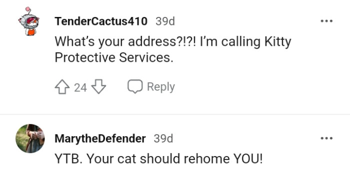 OP's cat should re-home her