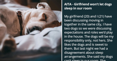 Young Man Wants His Dogs to Sleep in the Bedroom, But His Girlfriend Won't Allow It