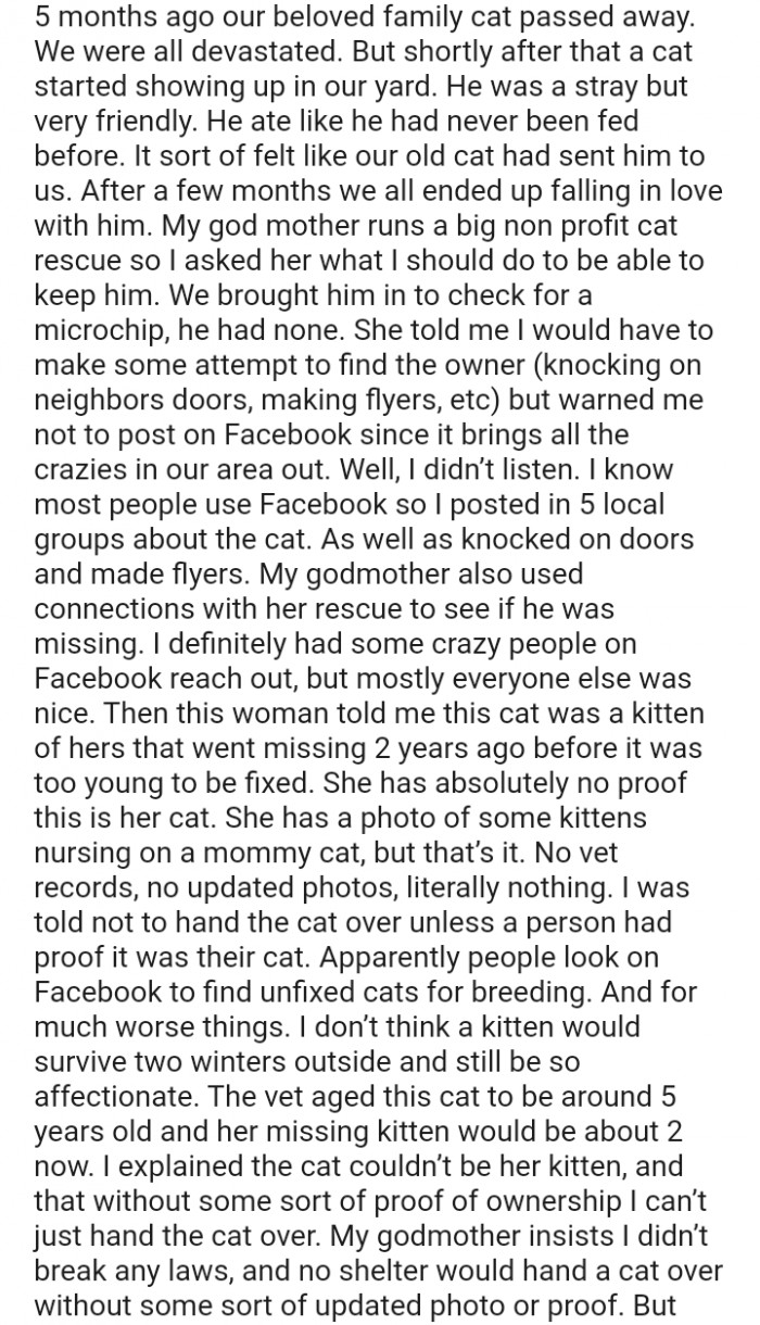 OP and their grandmother came across a stray cat, and in an attempt to find the owner, they were contacted by a woman on Facebook
