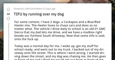 Redditor Runs Over Their Dog On Their Way To School