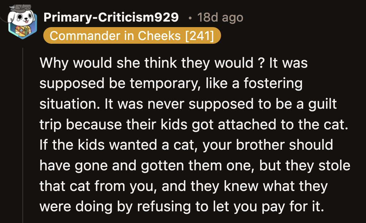Redditors sided with OP's wife. They said she didn't have to think about this outcome because their agreement was for his brother to care for Addie temporarily. They didn't sign on for a foster-to-adopt situation.