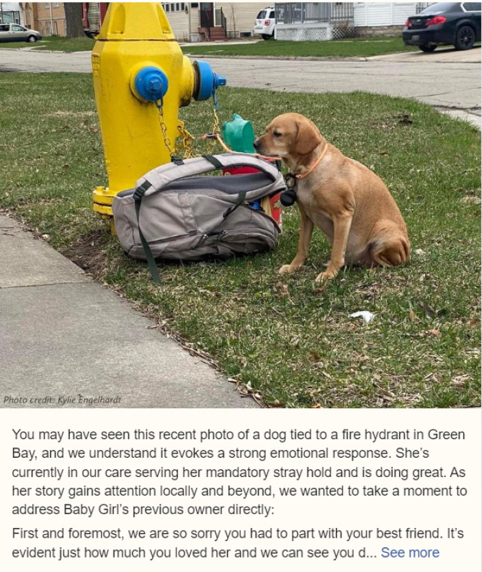 Baby Girl is now waiting to be adopted