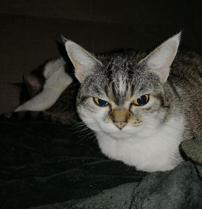 "Betty Is Upsetty. Mia's Sleeping Hard And The Sandman Refuses To Visit Betty"