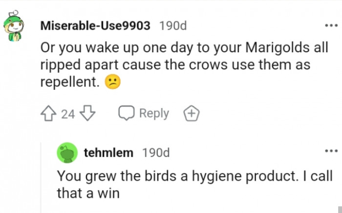 Growing the birds a hygiene product is what this Redditor calls a win