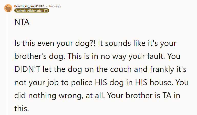 You did nothing wrong, at all. Your brother is TA in this.