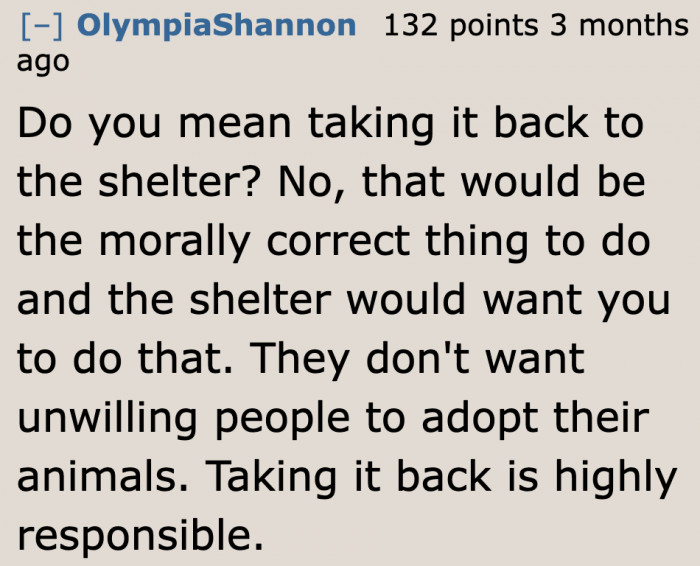 Returning it to the shelter is the most responsible move for an unwilling person.