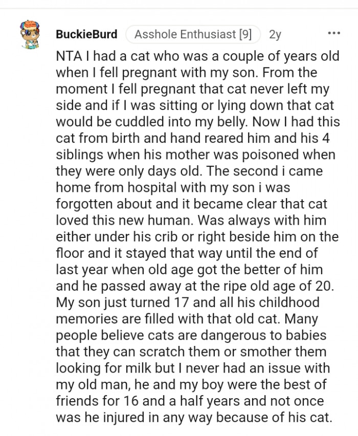 Many people believe cats are dangerous to babies