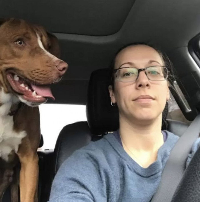 Woody has the playful nature of a puppy