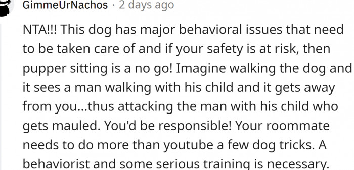 How Can the Roommate Expect OP to Take Care of a Dog She Is Afraid Of?