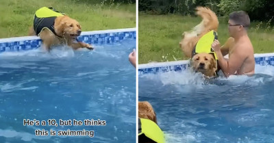 5 Doggos Who Feel That It's Their Time To Shine And Take Over The He's A 10 But Trend